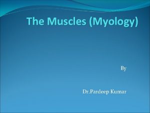 The Muscles Myology By Dr Pardeep Kumar The