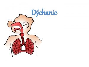 Dchanie o u vieme o zabezpeuje dchacia sstava