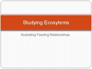 Studying Ecosytems Illustrating Feeding Relationships Trophic Levels The