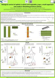 Biological control of aphids in wheat and vegetable