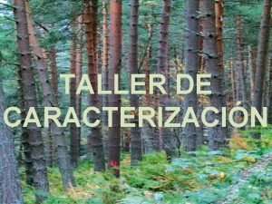 TALLER DE CARACTERIZACIN METODOLGA DE TALLER Los talleres