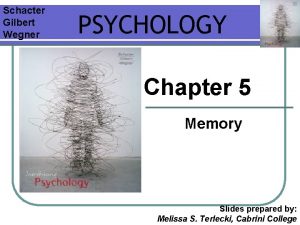 Schacter Gilbert Wegner PSYCHOLOGY Chapter 5 Memory Slides