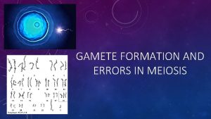 GAMETE FORMATION AND ERRORS IN MEIOSIS GAMETE FORMATION