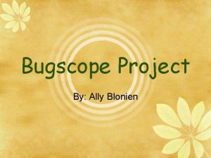 Bugscope Project By Ally Blonien Bee Facts Lifecycle