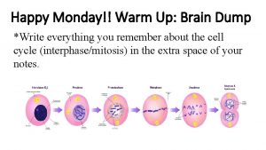 Happy Monday Warm Up Brain Dump Write everything