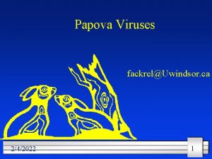 Papova Viruses fackrelUwindsor ca 242022 1 Papova Viruses