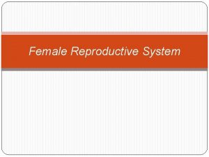 Female Reproductive System Function of the Female Reproduction