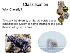 Classification Why Classify To study the diversity of