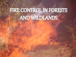 FIRE CONTROL IN FORESTS AND WILDLANDS PLANNING FOR