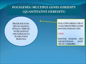 POLYGENES MULTIPLE GENES HEREDITY QUANTITATIVE HEREDITY PRODUKSI SUSU