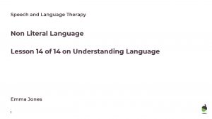 Speech and Language Therapy Non Literal Language Lesson