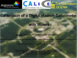 Calibration of a Digital Hadron Calorimeter with Muons