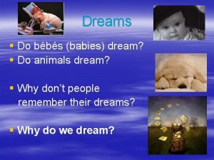 Dreams Do bbs babies dream Do animals dream