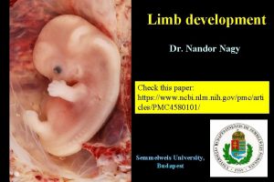 Limb development Dr Nandor Nagy Check this paper