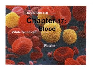 Chapter 17 Blood Overview Blood Composition and Function