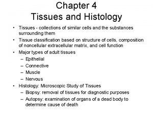 Chapter 4 Tissues and Histology Tissues collections of