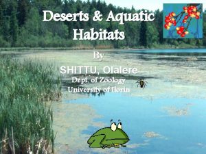Deserts Aquatic Habitats By SHITTU Olalere Dept of