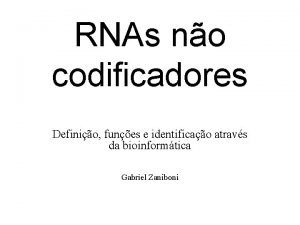 RNAs no codificadores Definio funes e identificao atravs