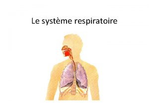 Le systme respiratoire Pourquoi nous avons besoin de