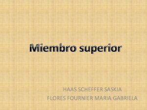 Miembro superior HAAS SCHEFFER SASKIA FLORES FOURNIER MARIA