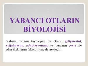 YABANCI OTLARIN BYOLOJS Yabanc otlarn biyolojisi bu otlarn