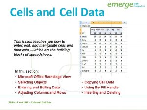 Cells and Cell Data This lesson teaches you