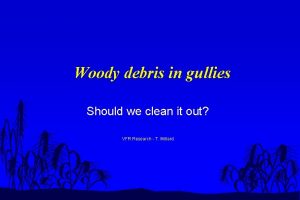 Woody debris in gullies Should we clean it