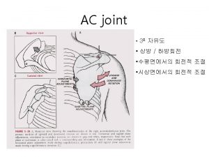 GH joint Rotator cuffSITS Capsular lig Coracohumeral lig