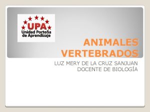 ANIMALES VERTEBRADOS LUZ MERY DE LA CRUZ SANJUAN