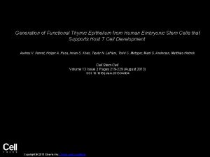 Generation of Functional Thymic Epithelium from Human Embryonic