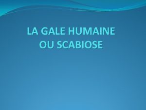 LA GALE HUMAINE OU SCABIOSE DEFINITION La gale