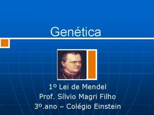 Gentica 1 Lei de Mendel Prof Slvio Magri