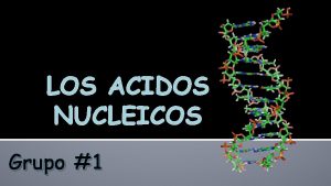 LOS ACIDOS NUCLEICOS Grupo 1 INTEGRANTES Seccin 07