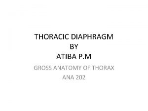 THORACIC DIAPHRAGM BY ATIBA P M GROSS ANATOMY