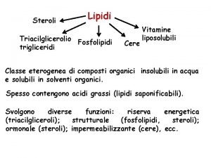 Steroli Lipidi Triacilglicerolio Fosfolipidi trigliceridi Cere Vitamine liposolubili