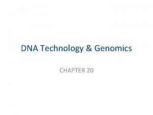 DNA Technology Genomics CHAPTER 20 Restriction Enzymes enzymes