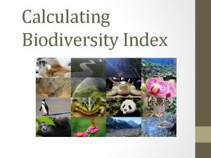 Calculating Biodiversity Index Biodiversity Index Scientists use a