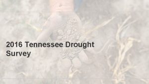 2016 Tennessee Drought Survey 6045 Total Emails 40