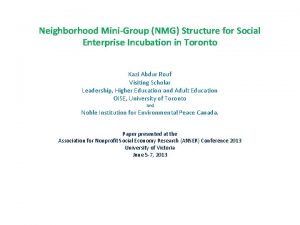 Neighborhood MiniGroup NMG Structure for Social Enterprise Incubation