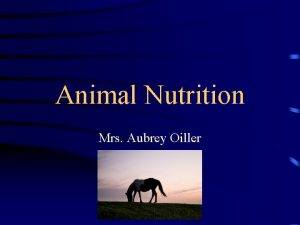 Animal Nutrition Mrs Aubrey Oiller Need for Nourishment