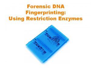 Forensic DNA Fingerprinting Using Restriction Enzymes DNA Fingerprinting