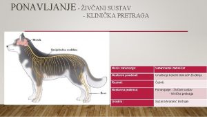 PONAVLJANJE IVANI SUSTAV KLINIKA PRETRAGA Naziv zanimanja Veterinarski