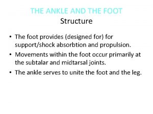 THE ANKLE AND THE FOOT Structure The foot