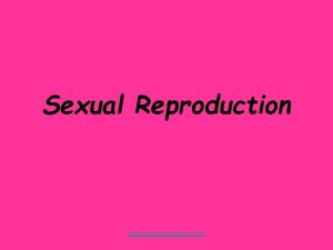 Sexual Reproduction www assignmentpoint com Sexual reproduction Sexual