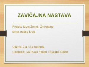 ZAVIAJNA NASTAVA Projekt Muoj minj i minjtina Biljke