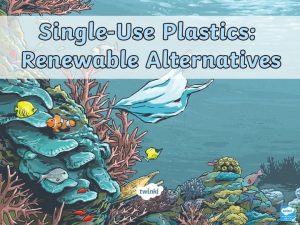 What Are SingleUse Plastics Singleuse plastics are items