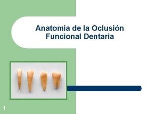 Anatoma de la Oclusin Funcional Dentaria 1 Introduccin