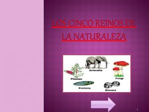 LOS CINCO REINOS DE LA NATURALEZA 1 q