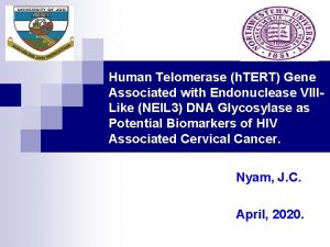 Human Telomerase h TERT Gene Associated with Endonuclease