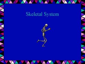 Skeletal System Components Cartilage Bone Joints Ligaments bone